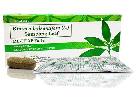 sambong re leaf.